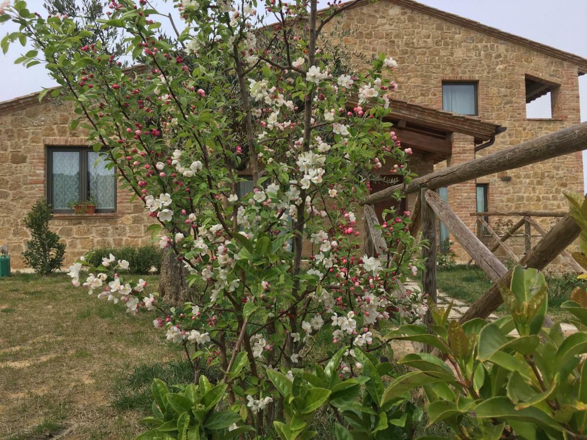 Residenza Al Poggio Degli Ulivi Villa มอนติปุลเชียโน ภายนอก รูปภาพ